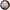 Aether Bloom - COMING SOON